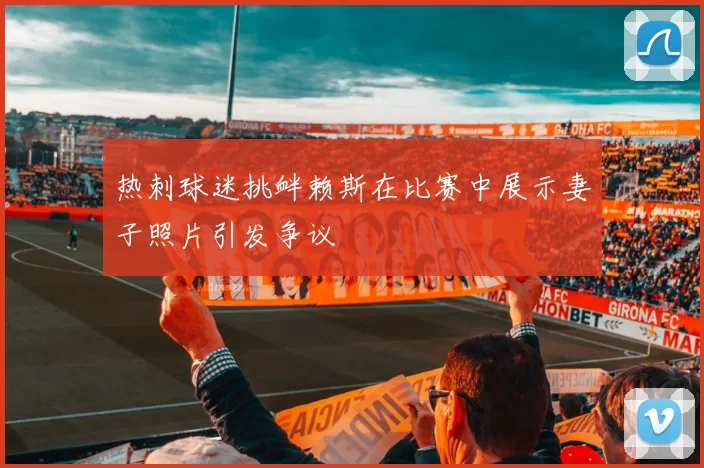热刺球迷挑衅赖斯在比赛中展示妻子照片引发争议
