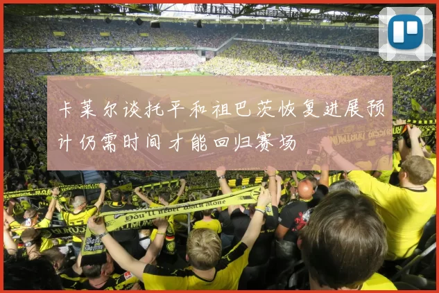 卡莱尔谈托平和祖巴茨恢复进展预计仍需时间才能回归赛场